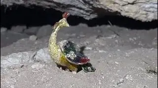 الزعيم يحصل على طاووس من الذهب ويحرق الجن والرصد  ويحصل على مسبحه منفعة للبشر