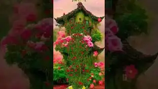 Guddu Rangeela ji editing and block