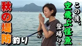 GO!GO!九ちゃんフィッシング #342　「堤防カワハギ！カンパチ！ イナダ！空飛ぶ怪魚！ Greater amberjack & Needle fish fishing」
