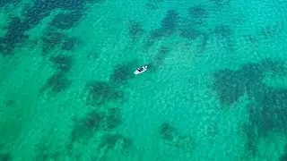 Can Fish Swim Any Shallower? CASTING THE FLATS - NZ Addition
