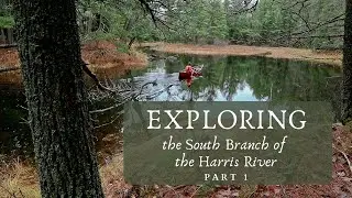 Part 1 - Exploring the South Branch of the Harris River Solo