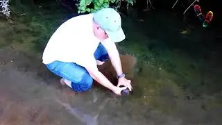 La Truite 🐟🐟 de Oued Zhor ( Skikda)  Algérie 🇩🇿🇩🇿