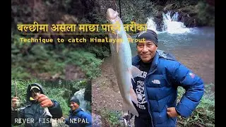 Nepal river fishing/ Current water fishing Nepal/ Himalayan Trout Fishing/ Fresh water river fishing