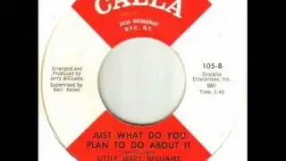 Little Jerry Williams - Just What Do You Plan To Do About It.wmv
