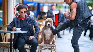 Człowiek Kopnął Psa Dla Zabawy... Ale Nie Wiedział, Że JACKIE CHAN Był Właścicielem!