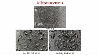 Friction and wear of metal matrix composites