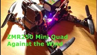 ZMR250 Mini Quad - Against the Wind // Naze32 - Cobra - GoPro - 4S