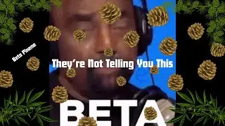 Beta-Pinene: The Sharp, Piney Terpene That Boosts Focus & Memory 🌲🧠