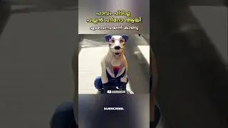 പാവം പയ്യൻ ഹീറോ ആയപ്പോൾ