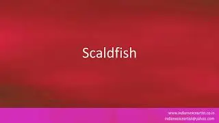 How to pronounce the word(s) 