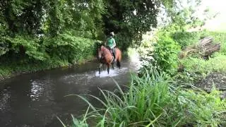 River Lambourn - Lambourn to Newbury