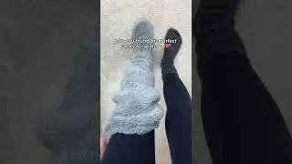 The best socks ever! 🥹 #christmas #gift #socks #winter