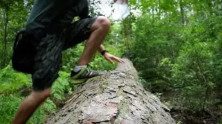 Driftwood Too