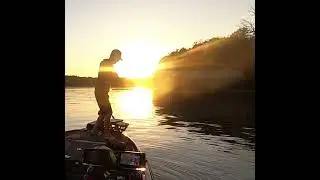 Jig Trailer/Bellows Shad