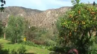 4142 Big Tujunga Canyon Road Tujunga CA 91042
