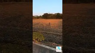 MAN NATURE INTERFACE CHINA #Nature #Travel #Explore  #chineseculture #travel #streetfood