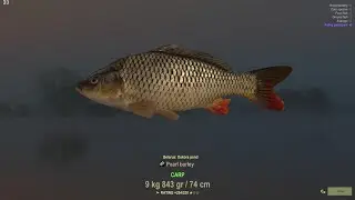 Fisher Online Belarus Ep1