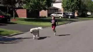 SOCCER IN MOTION 