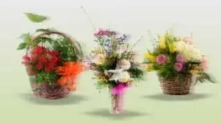 Mother's Day Flowers | Draper Flower Pros