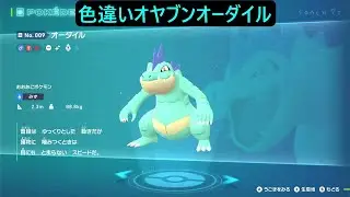 色違いオヤブンワニノコ ポケモンレジェンズZA M次元ラッシュ Pokémon LEGENDS Z-A Mega Dimension #ポケモン