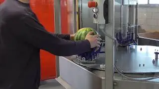 ZTI Watermelon Wedger
