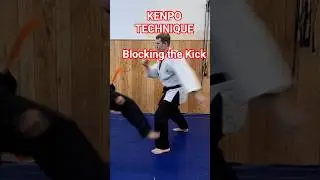 Blocking the Kick #kenpo #martialarts #karate #viral