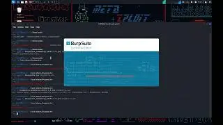 How to update Burp Suite Kali Linux 2023