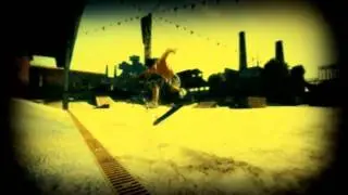 Skate Oce