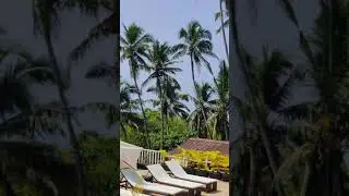 Stonewood restaurant and spa - #shorts #youtubeshorts | Soniee kudii | #goa #stonewood #goa2021
