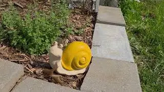 Garden Ornaments, Knick-knacks and Whatnot