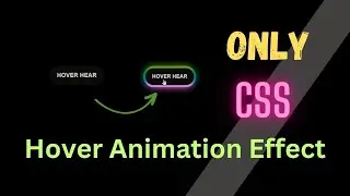 Creative CSS Hover Animation Effect || CSS Border Animation Effect || CSS Animation Effect