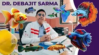 DR. DEBAJIT SARMA | AQUARIUM FISH EXHIBITION | AQUARIUM FISH COMPETITION | AQUARIUM FISH 