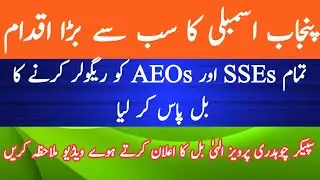 SSEs and AEOs Regularization Bill Passed By Punjab Assembly