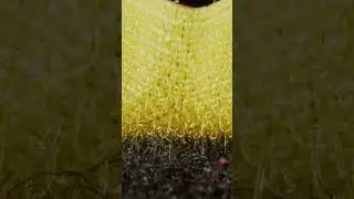 THIS IS HOW VELCRO WORKS CLOSE UP 20