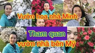 Ngắm vườn hoa nh&agrave; b&ecirc;n Mỹ nh&eacute; - Cuộc sống ở Mỹ