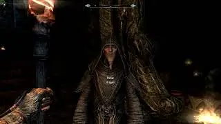 Skyrim Special Edition pc les grises barbes