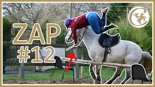 ZAP CHEVAL #12