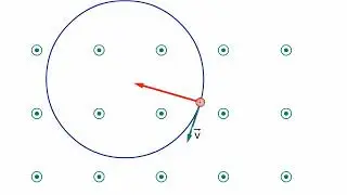 TEORIA La forza di Lorentz AMALDI ZANICHELLI