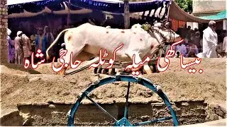 Besakhee Mela | Bull Race |  میلہ بیساکھی کوٹلہ حاجی شاہ |#voiceoflayyah