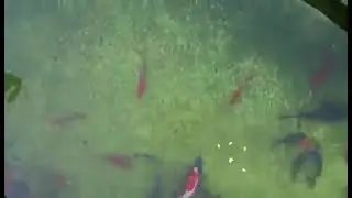 Fishing with a drone in Shanghai, China