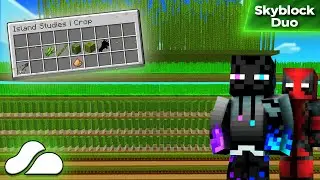 I Farmed Every Earth Crop in RainyDay Skyblock | Minecraft S6 Ep.03