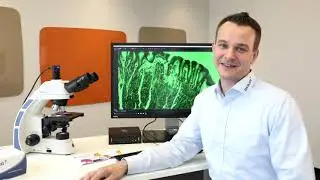 Concrete Petrography - Basler Microscopy Software - Part 1 of 2: Product Tutorials