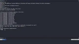 Linux Privilege Escalation - Sudo (Shell Escaping)