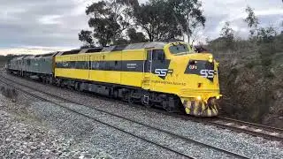 Southern Shorthaul Railroad &ldquo;SSR&rdquo; D242 loco transfer outside Cullerin CLF1-RL302-RL305-48s28-RL307