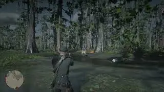 Nightfolk Encounter: Bluewater Marsh - Red Dead Redemption 2