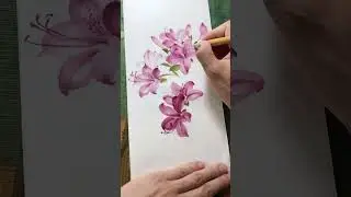 A tree is full of flowers and the mountains are full of red. Chinese painting azalea #Trad