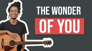 The Wonder Of You Beginner Guitar Lesson - Elvis Presley