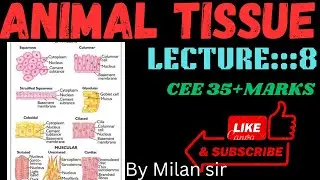 Animal tissue///lecture::::8//Cee zoology all classes with best notes