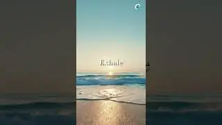 🌅 Sunrise Breath | Balance Your Mind (Loop)