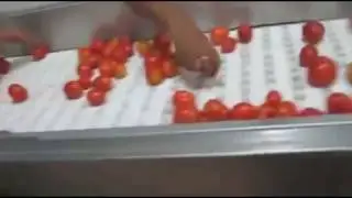 tomato sauce/paste processing and packing line
